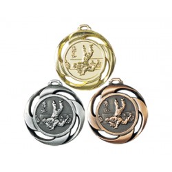 Médaille Judo ARGENT- NF07