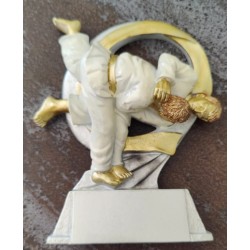 Trophée résine judokas