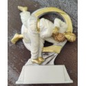 Trophée résine judokas