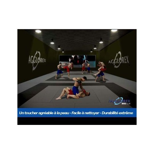 TATAMI AGGLOREX MMA