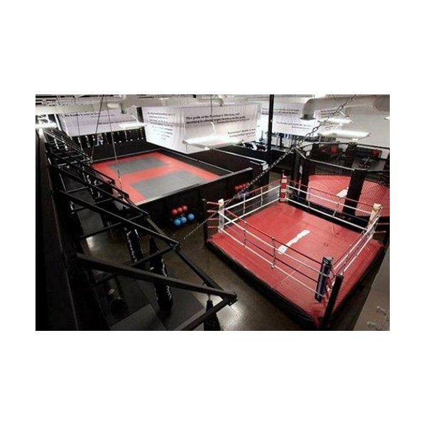 TATAMI AGGLOREX MMA