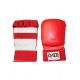 Mitaines Jujitsu DAX SPORTS