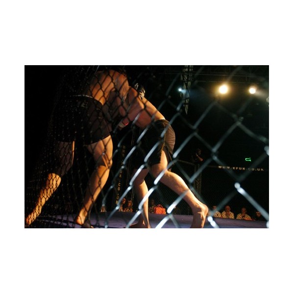 TATAMI AGGLOREX MMA