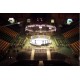 TATAMI AGGLOREX MMA